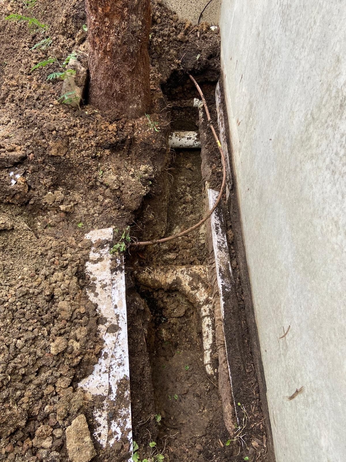 Exposed pipe and service cable along a concrete slab edge during an underground locate